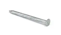 Bon Plan Pointe tête creuse 35 x 2,3 mm carton de 5 kg PLACO