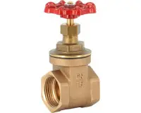 Vanne à passage directe simple opercule en bronze taraudé BSP 2 pression nominale 16 diamètre 51 mm SFERACO Pas Cher