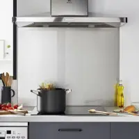 Fond de hotte verre inox 60 x 70 cm FRANKE Acheter Direct