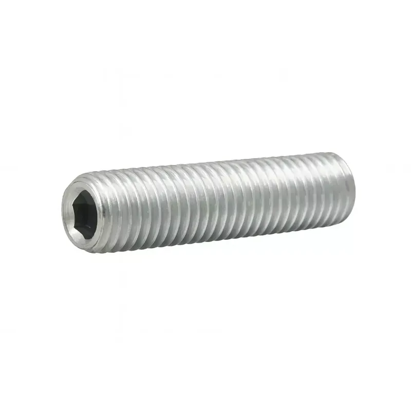 Vis sans tête à six pans creux - STHC - DIN 913 - M 10 x 100 - Bout plat - Inox A2 Jusqu'à épuisement Des Stocks
