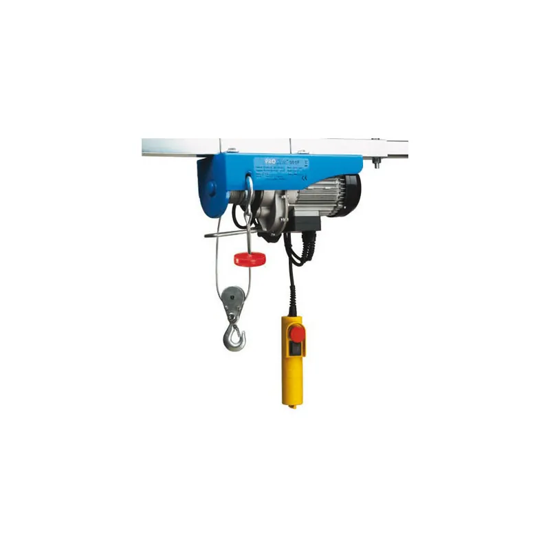 Populaire Treuil électrique à cable 220V – 250kg/12m – 500kg/6m – Promac 991G