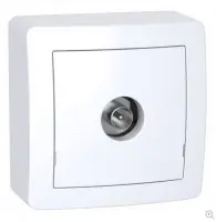 Nouvelle Collection Prise TV Alréa blindée blanc polaire?SFGP