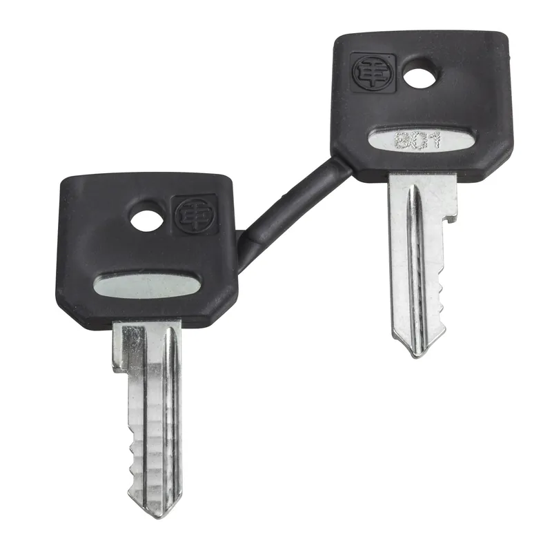Meilleur Prix Harmony clé pour serrure - 421E - jeu de 2 - ZBG421E
