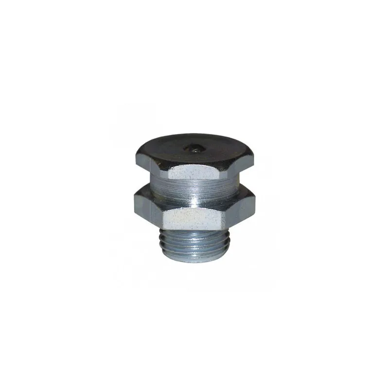 Populaire Graisseur à tête plate hexagonale M 8 x 125