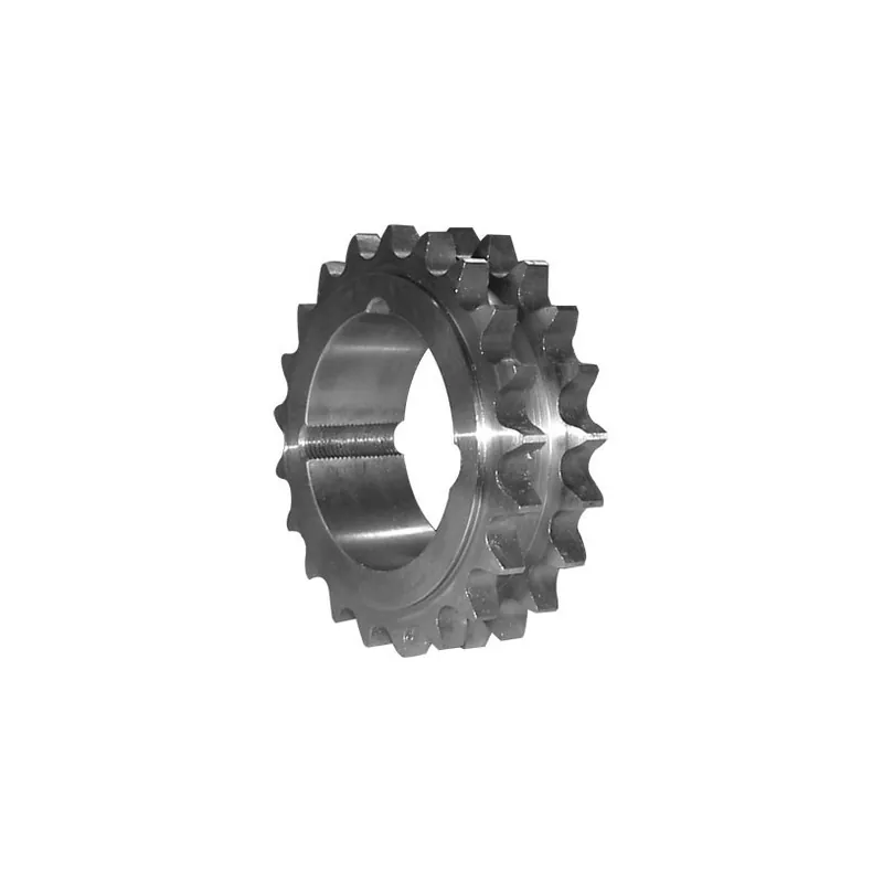 Acheter Direct Pignon acier double à moyeu amovible Pas 15,875 – 21 dents – moyeu amovible 1610