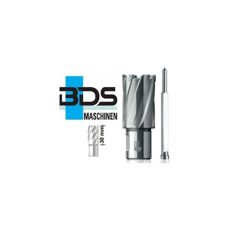 Achat Immédiat Fraise Weldon19 Carbure BDS – Longueur 30MM ? 27