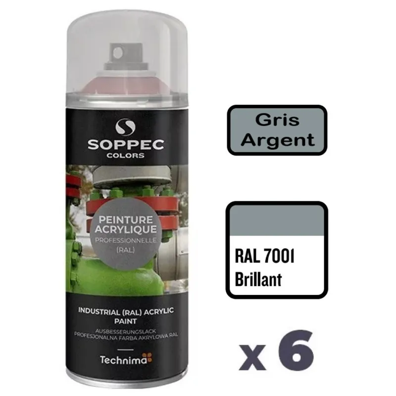 6 Peintures Acryliques Aérosol 520 ML Gris Argent – 7001 Achetez Aujourd&rsquo;hui
