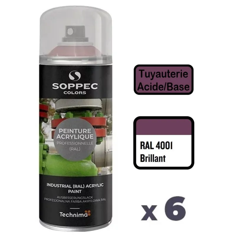 Prix Promo 6 Peintures Acryliques Aérosol 520 ML Violet 4001 - Acide/Base
