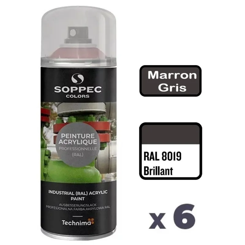 6 Peintures Acryliques Aérosol 520 ML Marron Gris – 8019 Meilleur Choix