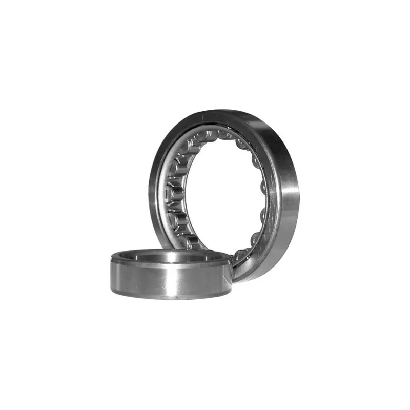 Roulement à rouleaux cylindriques sans épaulement ? 75 x 160 x 37 - NU 315 C3 Bon Marché
