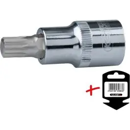 Populaire Douille tournevis 1/2‘‘ XZN CHROMEplus, M5 - sur carte